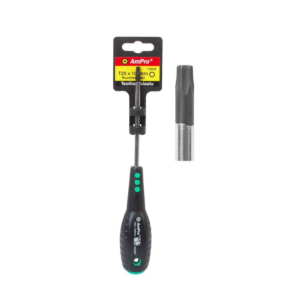 Ruuvimeisseli T10 X 80Mm